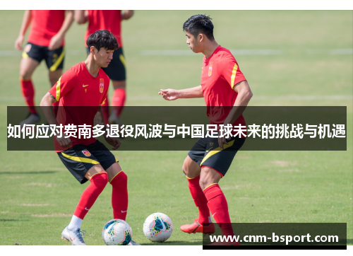 如何应对费南多退役风波与中国足球未来的挑战与机遇