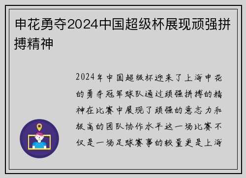 申花勇夺2024中国超级杯展现顽强拼搏精神 申花勇夺2024中国超级杯展现顽强拼搏精神
